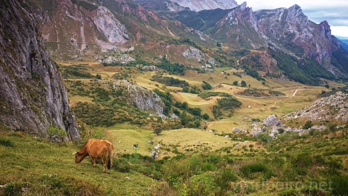 Fotografia de uma vaca castanha a pastar numa encosta verde, com um vale montanhoso ao fundo, trilhos de terra e picos rochosos sob céu nublado.