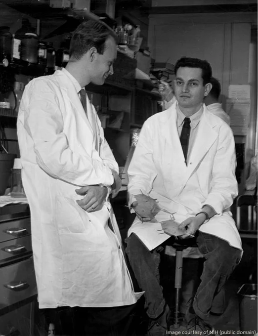 Heinrich Matthaei (left) and Marshall Nirenberg (right) both in lab coats, one standing and one seated, are engaged in a discussion inside a laboratory.