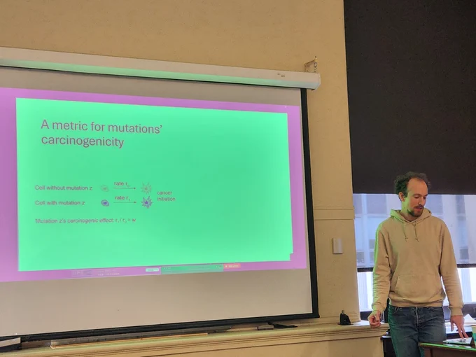 David Cheek, PhD, from Harvard University, presents a PowerPoint during IICD's February seminar series event.