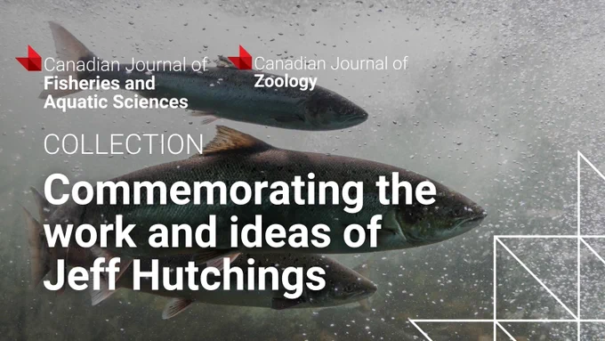 Two fish swimming underwater with text honoring Jeff Hutchings' contributions to fisheries and zoology research.