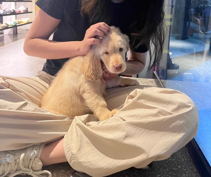 Young woman sitting cross-legged indoors, petting a cream-colored puppy on her lap.