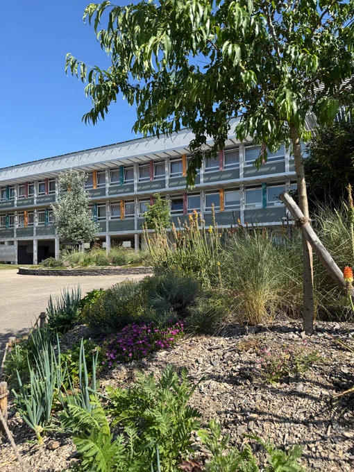 Renaturation de la cours d'école