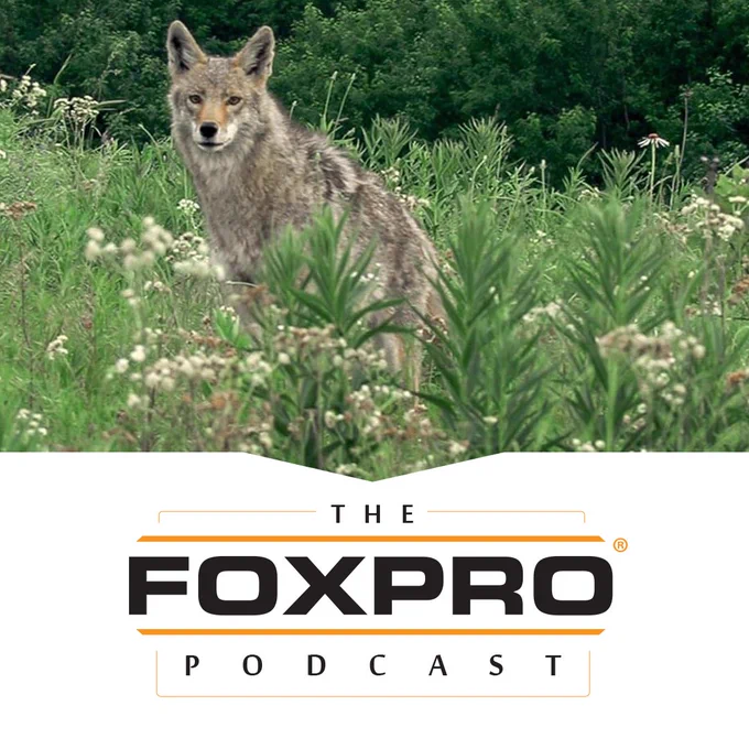 Coyote. The FOXPRO Podcast logo.