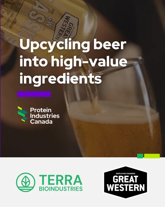 Close-up of a can of Great Western beer being poured into a glass, with foam forming at the top. Overlaid text reads “Upcycling beer into high-value ingredients,” alongside the Protein Industries Canada logo. At the bottom, logos for Terra Bioindustries and Great Western Brewing Company are displayed.