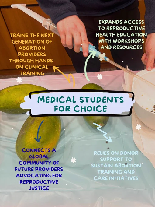 Photo of an MVA workshop with papayas in the background with text overlay: Medical Students for Choice -
Trains the next generation of abortion providers through hands-on clinical training.

Connects a global community of future providers advocating for reproductive justice.

Expands access to reproductive health education with workshops and resources.

Relies on donor support to sustain abortion training and care initiatives.