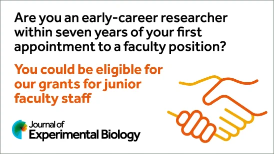 Are you an early-career researcher withing seven years of your first appointing to a faculty position? 
You could be eligible for our grants for junior faculty staff.
Bottom left: Journal of Experimental Biology logo
Bottom right: junior faculty grant logo, showing two clasped hands