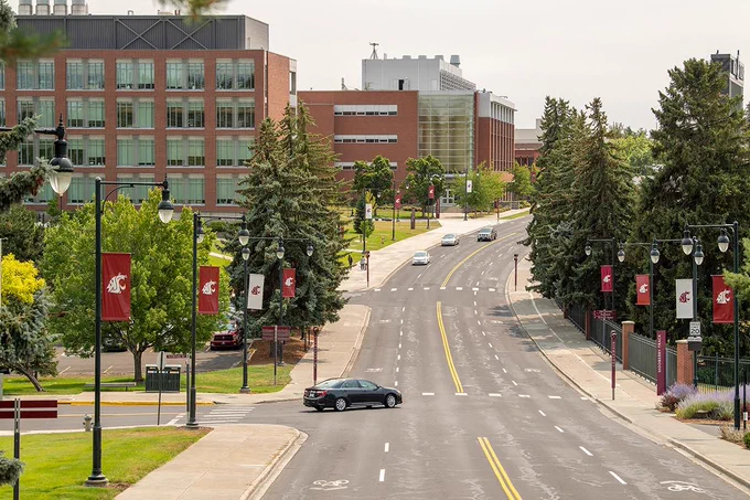 Color outdoor photo of a 4 lane road. Stadium Way has green trees on both sides with various white and red banners on poles on both sides as well. various cars can be seen driving on the road. 