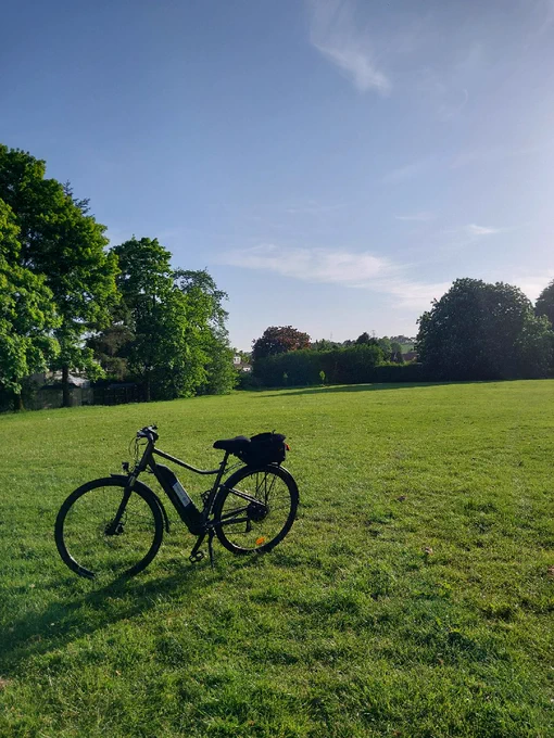 A black electric bicycle parked on a green grassy field on a sunny day.