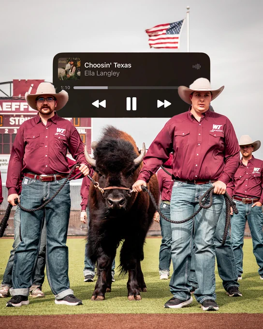 A group of people are standing on a sports field, holding a small buffalo on a leash. They are wearing maroon shirts with "WT" embroidered on them and cowboy hats. An American flag is in the background. An overlay shows a music player with the song "Choosin' Texas" by Ella Langley.