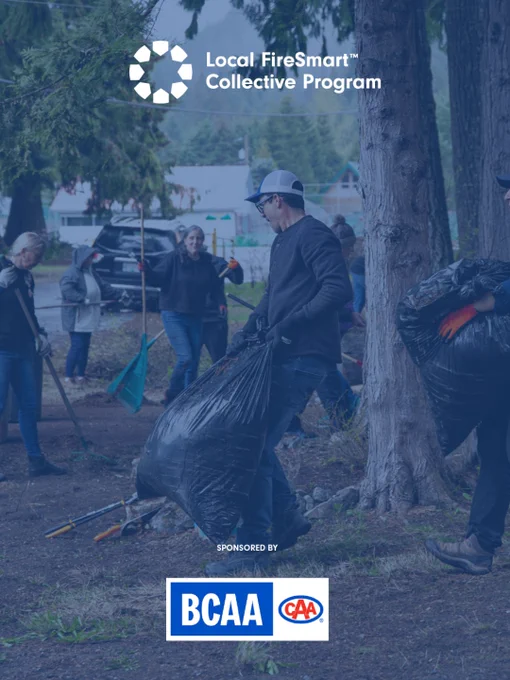 A group of people are cleaning a forested area, carrying large black bags. The image promotes the Local FireSmart Collective Program, sponsored by BCAA.