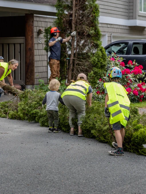Two adults and two children, all wearing safety vests and helmets, work together to move a cut tree. One adult uses a chainsaw while the others assist with branches. A house and blooming shrubs are visible in the background.