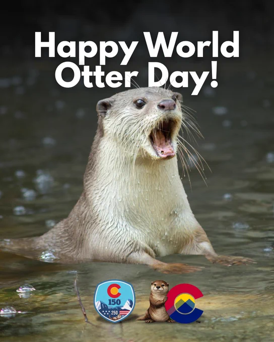 River otter with mouth open swimming in water celebrating World Otter Day.
