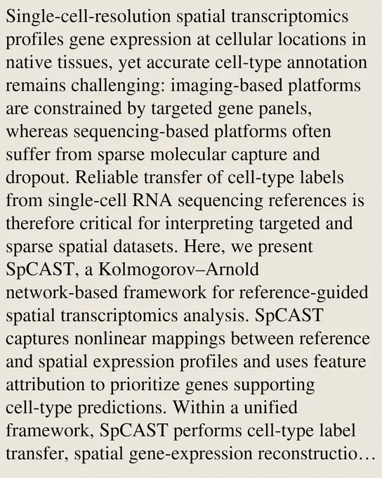 Single-cell-resolution spatial transcriptomics profiles gene expression at cellular locations in native tissues, yet accurate cell-type annotation remains challenging: imaging-based platforms are constrained by targeted gene panels, whereas sequencing-based platforms often suffer from sparse molecular capture and dropout. Reliable transfer of cell-type labels from single-cell RNA sequencing references is therefore critical for interpreting targeted and sparse spatial datasets. Here, we present SpCAST, a Kolmogorov–Arnold network-based framework for reference-guided spatial transcriptomics analysis. SpCAST captures nonlinear mappings between reference and spatial expression profiles and uses feature attribution to prioritize genes supporting cell-type predictions. Within a unified framework, SpCAST performs cell-type label transfer, spatial gene-expression reconstruction and marker-gene candidate prioritization. We benchmarked SpCAST on 53 datasets comprising 413,376 spatial cells acros