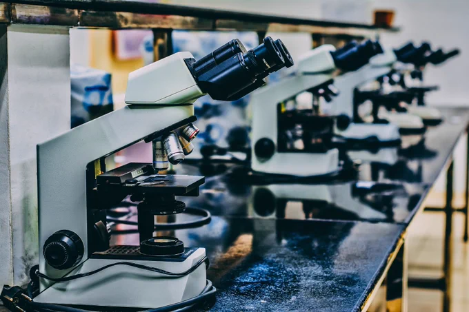 Close-up of a row of compound microscopes lined up on a lab bench in a scientific research setting.