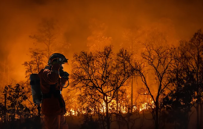 A firefighter in protective gear stands in front of a forest engulfed in flames, with smoke and fire illuminating the trees against the night sky.