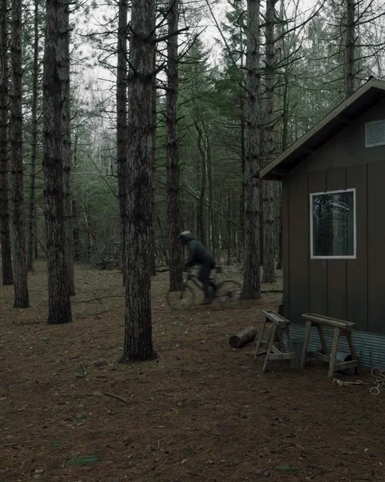 A man on a bike in the woods.