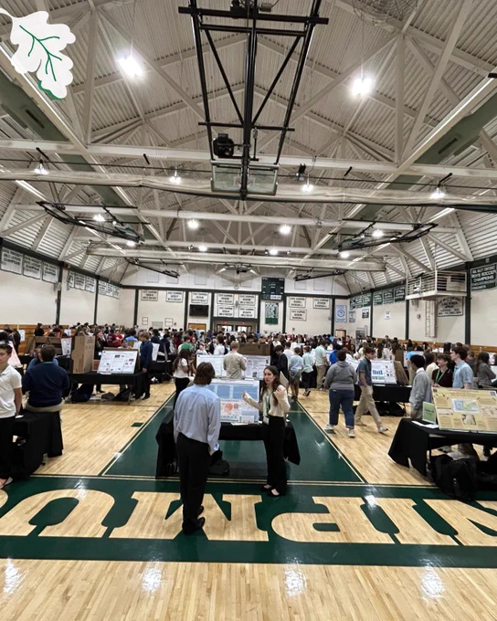 gymnasium filled with presentations