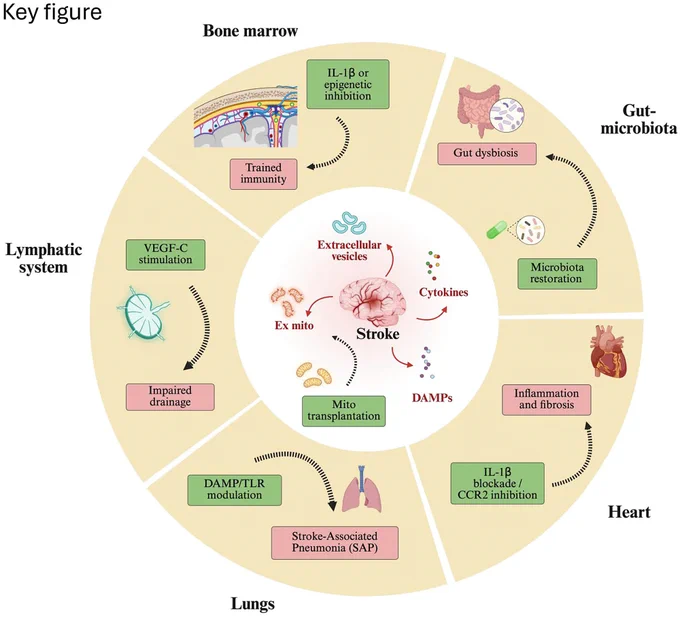 Graphic abstract in Vázquez-Reyes et al.