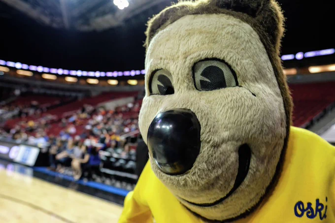 Oski's identity has always been a guarded Cal secret. 5 grads just blew it up.