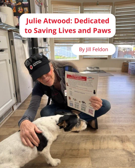 A person crouches on a wooden floor in a kitchen, gently petting a black and white dog. The person is wearing a cap with a Red Cross logo and holding a document. The kitchen is well-lit with large windows. A text overlay reads, "Julie Atwood: Dedicated to Saving Lives and Paws By Jill Feldon.