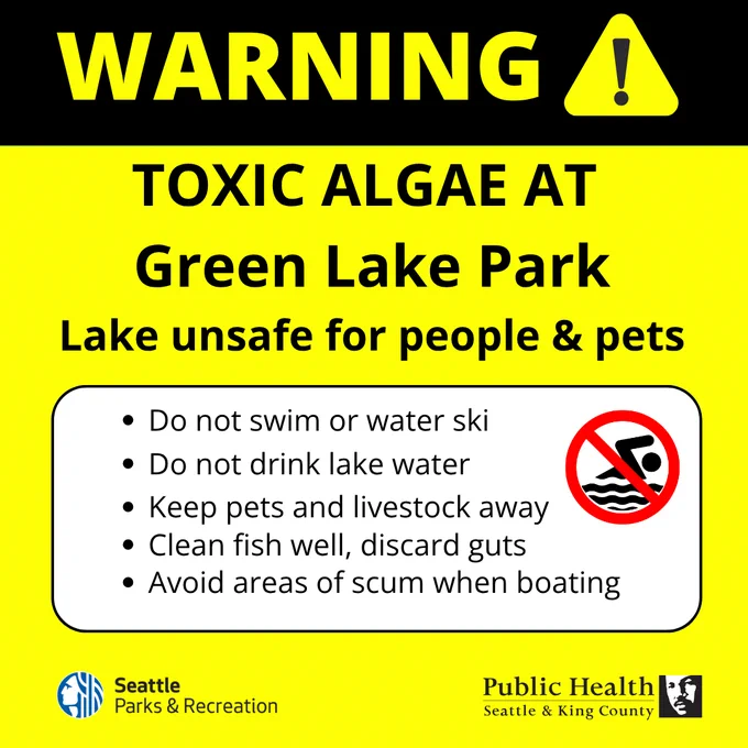 Warning sign about toxic algae at Green Lake Park advising no swimming, drinking lake water, and keeping pets away for safety.