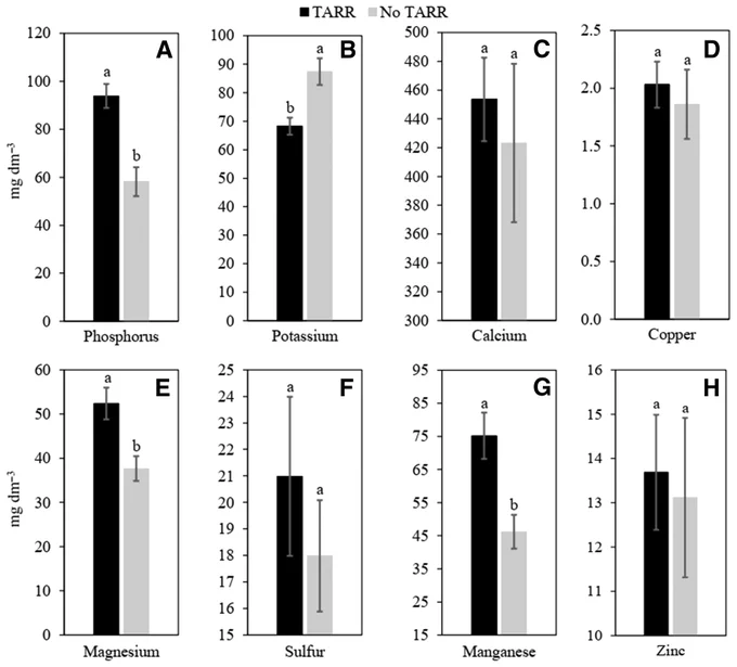 FIGURE 1
Average soil nutrient levels in milligrams per cubic decimeter (mg dm−3) of A, phosphorus; B, potassium; C, calcium; D, copper; E, magnesium; F, sulfur; G, manganese; and H, zinc, from locations with and without take-all root rot (TARR) diagnosis. Least squares means followed by a different letter are different (P < 0.05) according to Tukey's least squares means test. Bars indicate the mean and standard deviation calculated from three replicates.