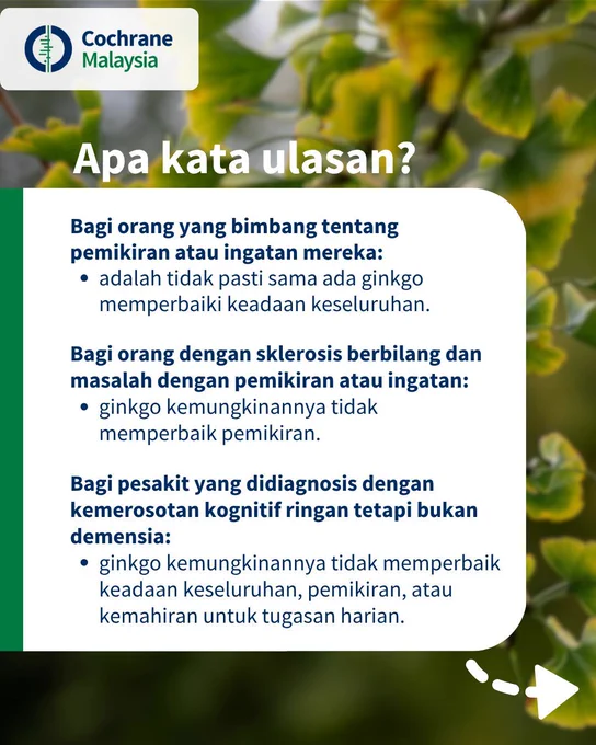 Apa kata ulasan? Bagi orang yang bimbang tentang pemikiran atau ingatan mereka, adalah tidak pasti sama ada ginkgo memperbaiki keadaan keseluruhan. Bagi orang dengan sklerosis berbilang dan masalah dengan pemikiran atau ingatan, ginkgo kemungkinannya tidak memperbaik pemikiran. Bagi pesakit yang didiagnosis dengan kemerosotan kognitif ringan tetapi bukan demensia, ginkgo kemungkinannya tidak memperbaik keadaan keseluruhan, pemikiran, atau kemahiran untuk tugasan harian. 
Tengok halaman seterusnya.