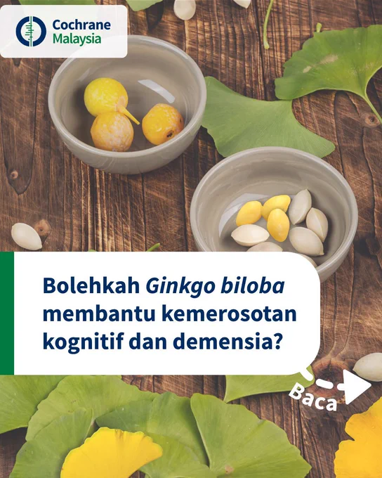 Bolehkah Ginkgo biloba membantu kemerosotan kognitif dan demensia?
Tengok halaman seterusnya.