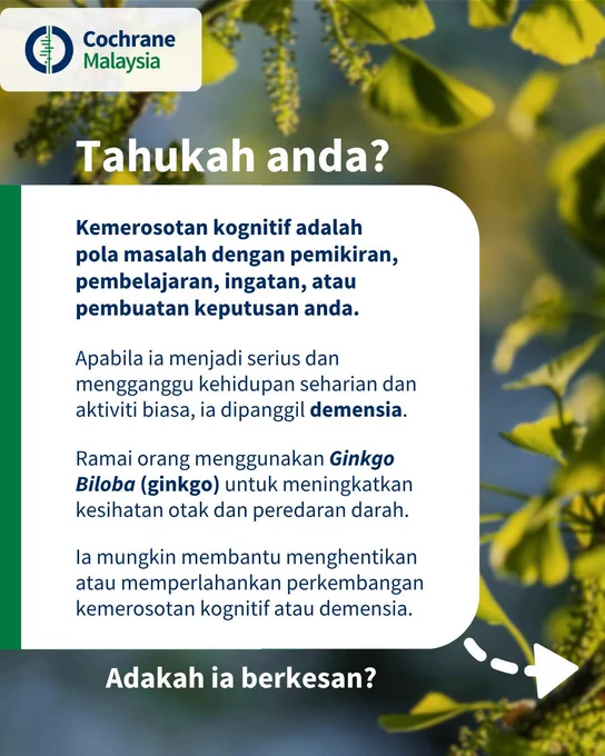 Tahukah anda? Kemerosotan kognitif adalah pola masalah dengan pemikiran, pembelajaran, ingatan, atau pembuatan keputusan anda. Apabila ia menjadi serius dan mengganggu kehidupan seharian dan aktiviti biasa, ia dipanggil demensia. Ramai orang menggunakan Ginkgo Biloba (ginkgo) untuk meningkatkan kesihatan otak dan peredaran darah. Ia mungkin membantu menghentikan atau memperlahankan perkembangan kemerosotan kognitif atau demensia. Adakah ia berkesan? 
Tengok halaman seterusnya.