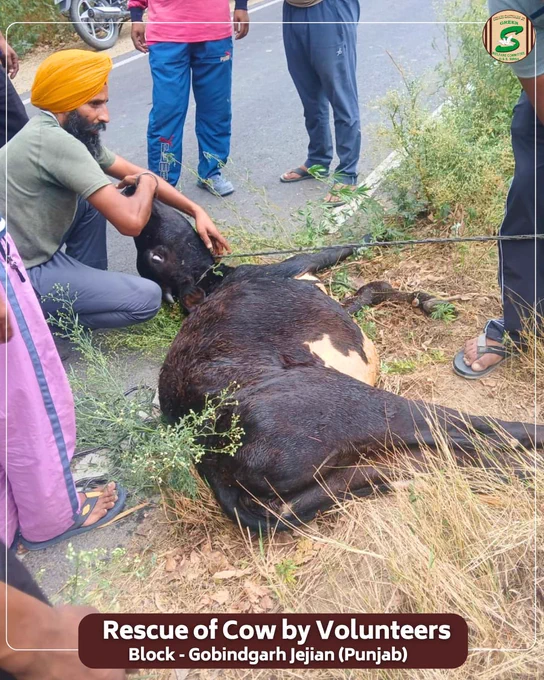 इंसानियत वही है, जो मुसीबत में किसी की जान बचाने के काम आए।

ब्लॉक गोबिंदगढ़ जेजियां के सेवादारों ने नहर में गिरे एक बछड़े को सुरक्षित बाहर निकालकर मानवता की सुंदर मिसाल पेश की। कठिन परिस्थिति में बिना देर किए उन्होंने साहस और सेवा भाव से उसकी जान बचाई।

Saint Dr. Gurmeet Ram Rahim Singh Ji Insan की प्रेरणा से ऐसे सेवा कार्य लगातार लोगों को दया और करुणा का संदेश दे रहे हैं।