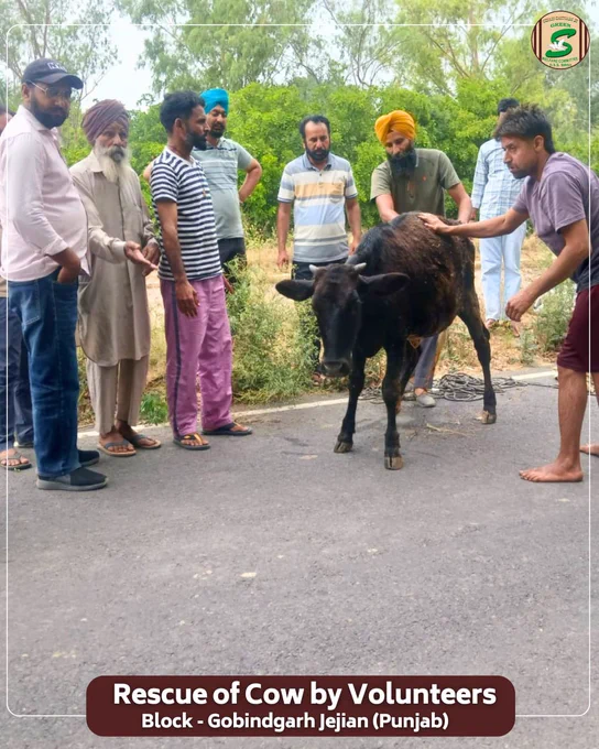 इंसानियत वही है, जो मुसीबत में किसी की जान बचाने के काम आए।

ब्लॉक गोबिंदगढ़ जेजियां के सेवादारों ने नहर में गिरे एक बछड़े को सुरक्षित बाहर निकालकर मानवता की सुंदर मिसाल पेश की। कठिन परिस्थिति में बिना देर किए उन्होंने साहस और सेवा भाव से उसकी जान बचाई।

Saint Dr. Gurmeet Ram Rahim Singh Ji Insan की प्रेरणा से ऐसे सेवा कार्य लगातार लोगों को दया और करुणा का संदेश दे रहे हैं।
