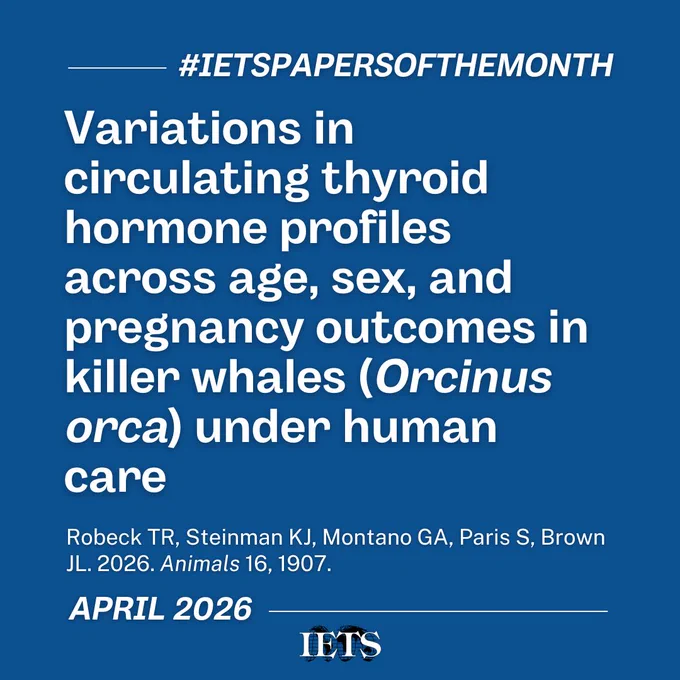 #IETSPapersOfTheMonth

Variations in circulating thyroid hormone profiles across age, sex, and pregnancy outcomes in killer whales (Orcinus orca) under human care

Robeck TR, Steinman KJ, Montano GA, Paris S, Brown JL. 2026. Animals 16, 1907.

April 2026