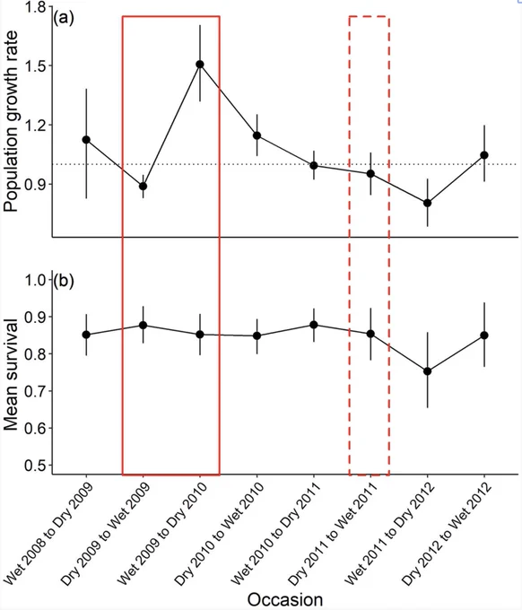 Graphical abstract: We evaluated demographic responses of an enclosed population of brown treesnakes to two experimental perturbations: supplemental feeding followed by removal of the adult and sub-adult cohort 2 years later. Our results indicate that adding food to the system increased the population growth rate by 50% within 6 months and that removing the adults and large sub-adults temporarily suppressed growth and survival; however, the population growth rate recovered within a year. These findings provide insight into population dynamics that may influence current control efforts on the island of Guam and any future invasions into new areas.