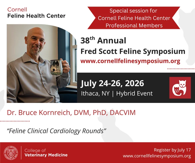 2026 FSFS - Speaker Cards - Bruce Kornreich