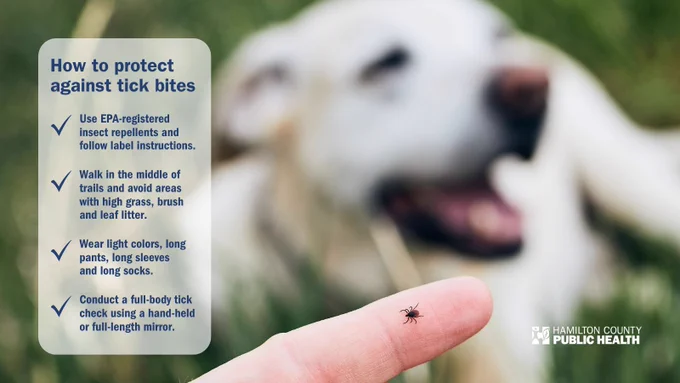 Close-up of a finger with a tick on it. In the blurred background, there's a dog lying in the grass. An inset text box titled 'How to protect against tick bites' lists tips: Use EPA-registered repellent, walk in middle of trails, wear light clothing, and conduct tick checks. Hamilton County Public Health logo at the bottom right.