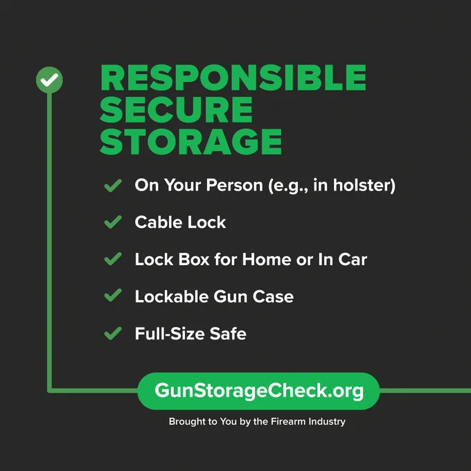Graphic for gun storage options
