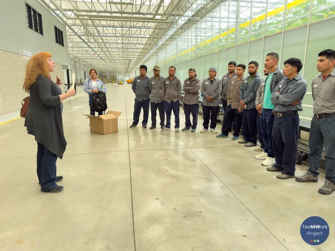 Workers stand in a line inside a greenhouse aisle while a representative speaks to them beside an open box of materials. The group listens as information and TeaMWork kits are shared during the outreach visit.