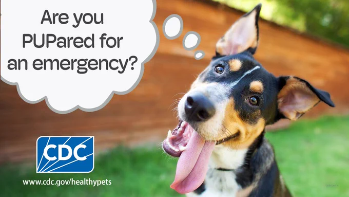 A dog with its tongue out is in a grassy yard, with a thought bubble that says, "Are you PUPrepared for an emergency?" The CDC logo is in the lower left corner, along with the website URL: www.cdc.gov/healthypets.
