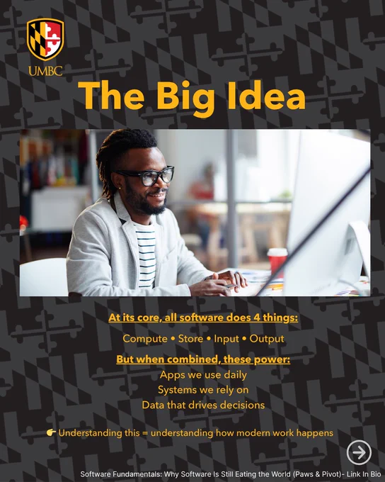UMBC graphic titled “The Big Idea” showing a professional at a computer and explaining the four core functions of software.