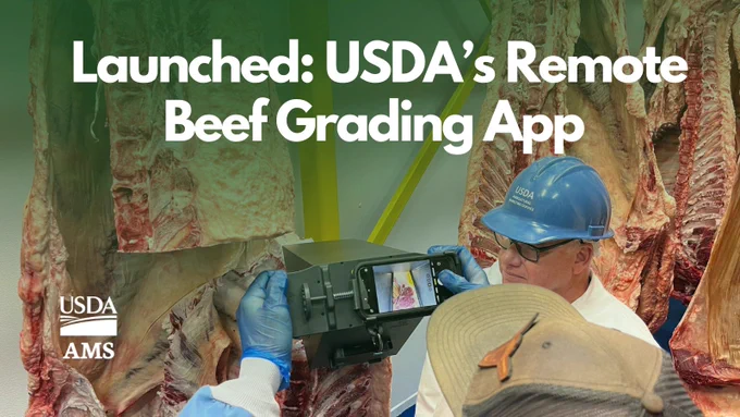 A person wearing a blue helmet is using a device to grade beef. A visible screen displays the USDA's Remote Beef Grading App. Large cuts of beef are hanging in the background. The USDA AMS logo is present in the image. Text reads: "Launched: USDA's Remote Beef Grading App.