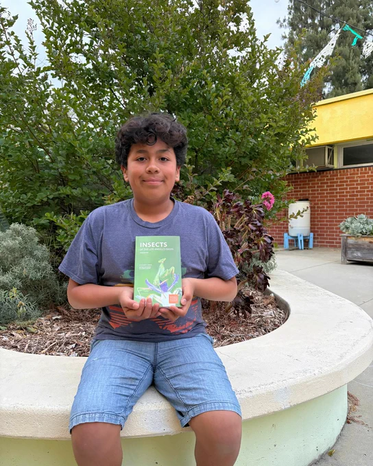 A person sitting on a curved bench in an outdoor setting, holding a book titled "Insects" with a green cover. There are plants and shrubs in the background, along with part of a building.