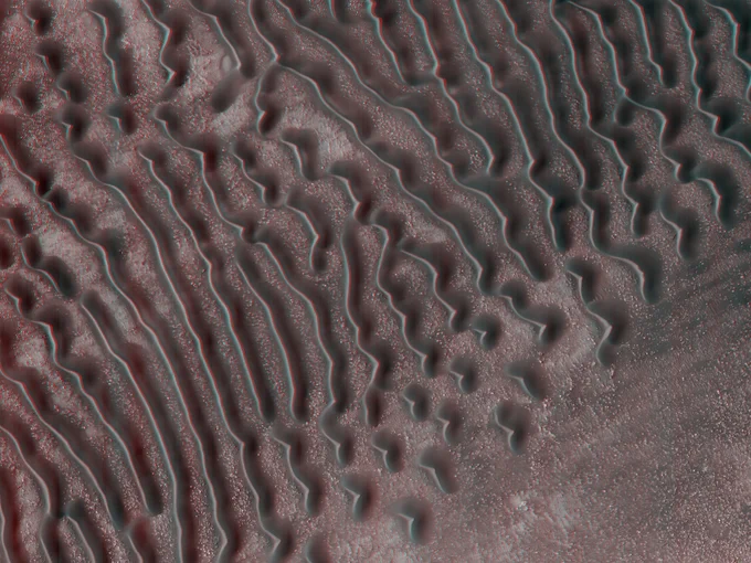 3D image shows a wide, aerial view of a dune field on Mars. The dunes are elongated and appear like long tubes, separated by flatter, rocky terrain.
