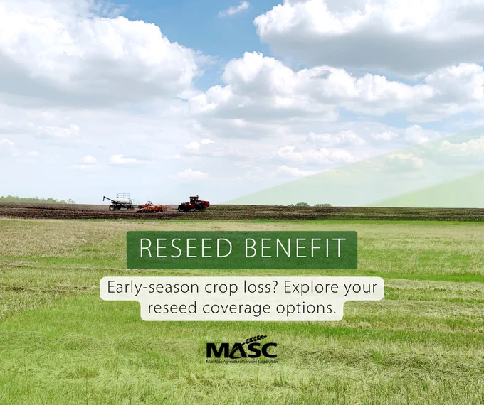 Tractor tilling a vast field under a cloudy sky promoting reseed coverage for early-season crop loss.