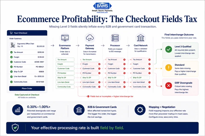 Editorial fintech infographic showing how missing Level 3 checkout fields silently increase interchange costs on B2B and government card transactions.