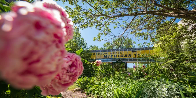 A spring photo of pink flowers with a banner reading "Tomorrow needs Michigan Tech". 