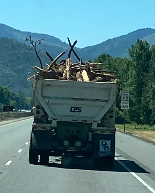 A dump truck carrying large wood debris that is not secured is driving on a highway surrounded by mountains and trees. Some of the wood appears to be about to fall out of the truck's bed.