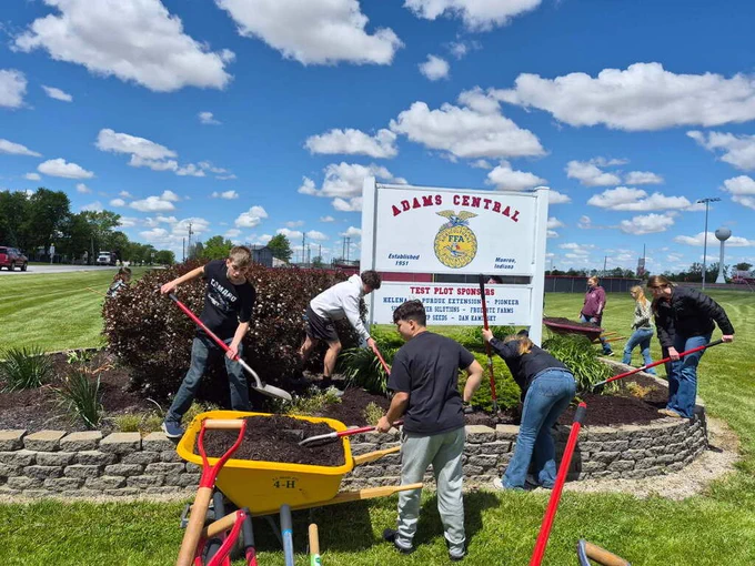 Landscaping for graduation