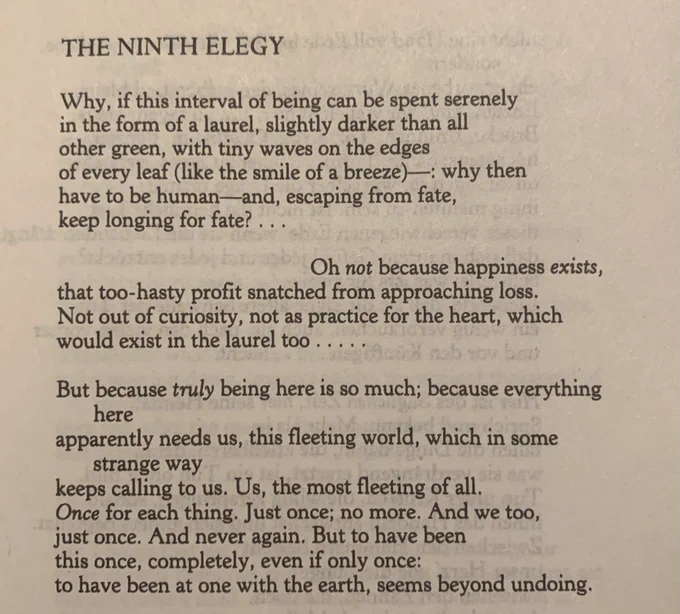 THE NINTH ELEGY

Why, if this interval of being can be spent serenely 
in the form of a laurel, slightly darker than all 
other green, with tiny waves on the edges 
of every leaf (like the smile of a breeze)—: why then 
have to be human—and, escaping from fate,
keep longing for fate? ...

Oh not because happiness exists,
that too-hasty profit snatched from approaching loss.
Not out of curiosity, not as practice for the heart, which would exist in the laurel too ...

But because truly being here is so much; because everything here
apparently needs us, this fleeting world, which in some
strange way
keeps calling to us. Us, the most fleeting of all.
Once for each thing. Just once; no more. And we too, 
just once. And never again. But to have been 
this once, completely, even if only once:
to have been at one with the earth, seems beyond undoing.

Translated by Stephen Mitchell