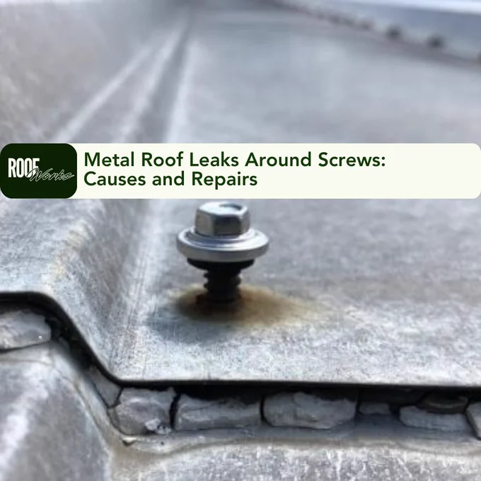Why do metal roof leaks around screws happen?