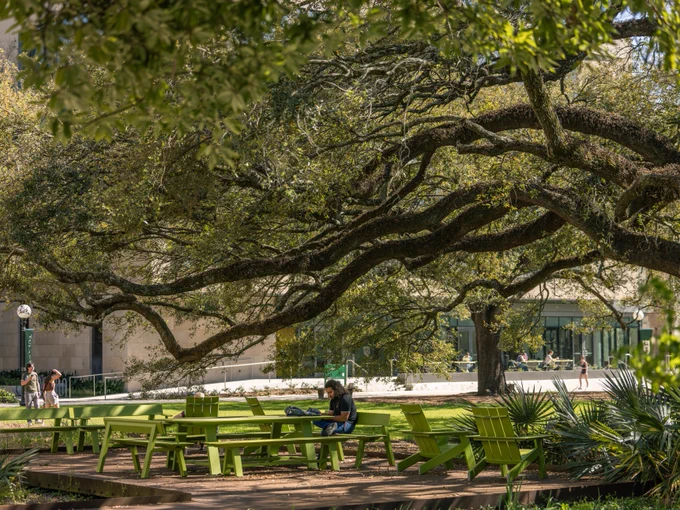 A person sitting at a vibrant green picnic table beneath a large, sprawling oak tree on a sunny day at Tulane University. The background features a modern building with glass elements, and a few people can be seen walking nearby.